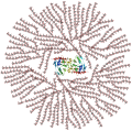 Glycogen structure