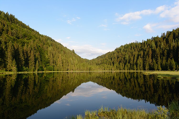 Озеро Шпехтен в Штирии