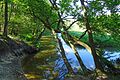 Nationaal Park De Drentsche Aa