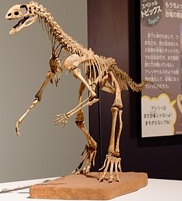 Asilisaurus