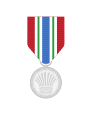 Long Service and Good Conduct medal - Police Force