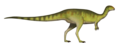 Dryosaurus