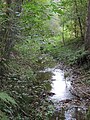 Die Hase beim Kronensee nahe Wellingholzhausen