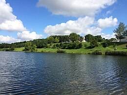 Pond in Jonava