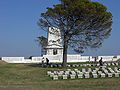 Lone Pine Cemetary, Turkey