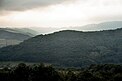 Waldlandschaft bei Oberalben im Remigiusland