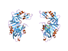 PDB 2fs4 EBI.png