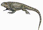 Palaeohatteria longicaudata