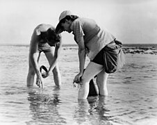 Rachel Carson Conducts Marine Biology Research with Bob Hines.jpg