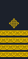 Chorvatské námořnictvo: Kapetan bojnog broda