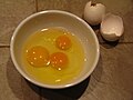 Three yolks from two eggs. The two smaller yolks are from the same egg.