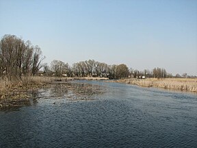 Udajaus upė Piriatino apylinkėse