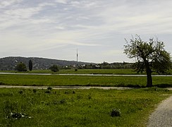 Blick von unterhalb des Waldschlösschens über die Elbe zum Käthe-Kollwitz-Ufer