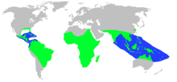 Distribución de Crocodilia