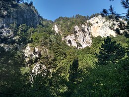 Глетка од шумовитата долина на Стара Река на Кожуф
