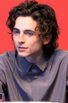 Photo de Timothée Chalamet, un jeune homme mince aux traits fins, aux cheveux châtains ondulés et mi-longs encadrant son visage de part et d'autre.