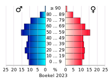 Bevolkingspiramide van de gemeente Boekel