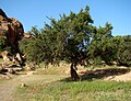 near Tafraoute, Morocco