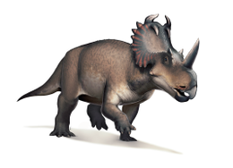 A Centrosaurus apertus rekonstrukciója