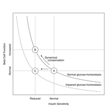 Hyperbolic relationship between insulin sensitivity and beta cell function showing dynamical compensation in „healthy“ insulin resistance (transition from A to B) and the evolution of type 2 diabetes mellitus (transition from A to C).