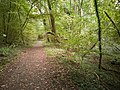 Un chemin en octobre.