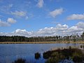 Lunsveen (boswachterij Gieten-Borger)