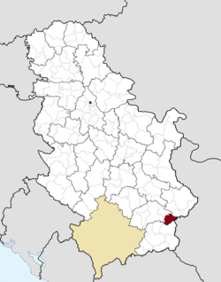 Location of the municipality of Crna Trava within Serbia