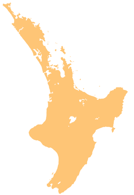 Albert Park Volcano is located in North Island