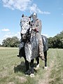 Historical re-enactment of a Sassanid-era cataphract.