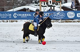 Un poney noir vu de profil monté par une fillette