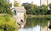 Barnacla canadiense en Harlem Meer