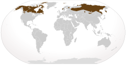 Distribución xeográfica