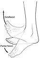 Dorzifleksija i plantarna fleksija stopala
