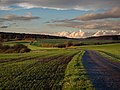 # 20 Felder zwischen Kirchlauter und Neubrunn in den Haßbergen