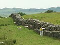 Zidul lui Hadrian lângă Fortăreața Birdoswald. Bărbat cu erbicid, dorind prevenirea degradării biologice a bolovanilor.