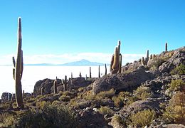 Altiplano seco Isla del Pescado, Potosí