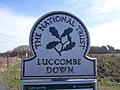 Luccombe Down