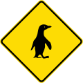 (W18-3.8) Watch for animals (penguins)