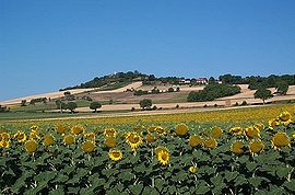 The landscape of Luzillat