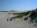 Dunes, Leba (Pomerania)