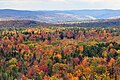 Milieu tempéré (Vermont)