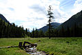 Spepa u podnožju Altajskih planina