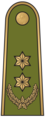 Pulkininkas leitenantas, Lituania