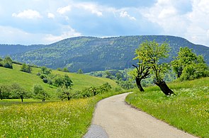 Landschaft im Oberen Schlichemtal mit Blick auf den Ortenberg (996 m) und den Rainen (1006 m)