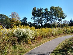 Fisher Hill Reservoir Park, Inner Trail.jpg