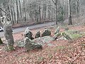 Cromlech des Fourneaux, Hérimoncourt