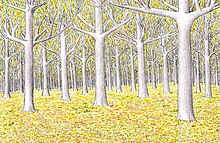 Dessin d'une forêt d'arbres aux troncs blancs et aux feuilles dorées.