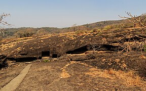 Sanjay Gandhi National Park