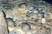 Photo montrant des crânes humains et des fémurs pris dans la calcite.