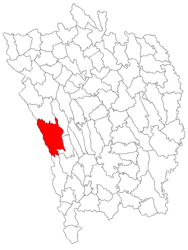 Location in Vaslui County